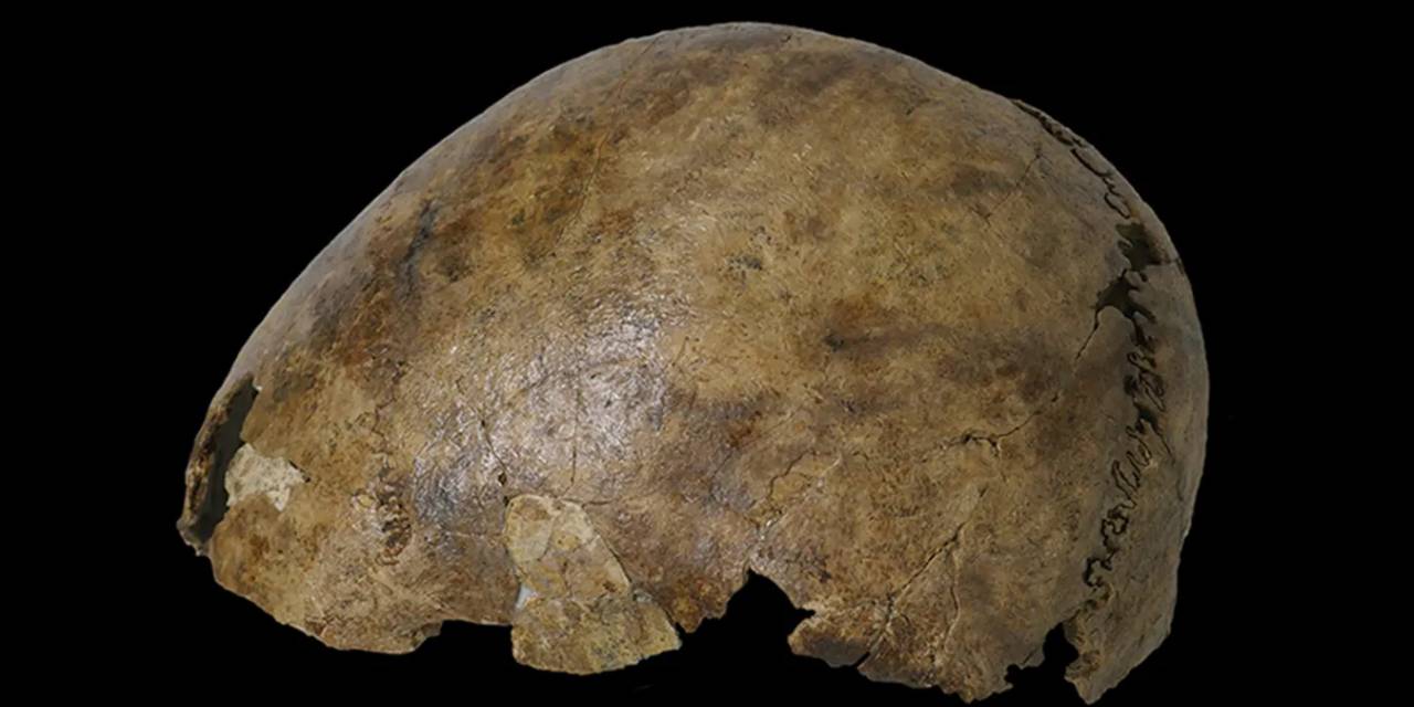 Tek kafatasından yedi farklı kişi çıktı