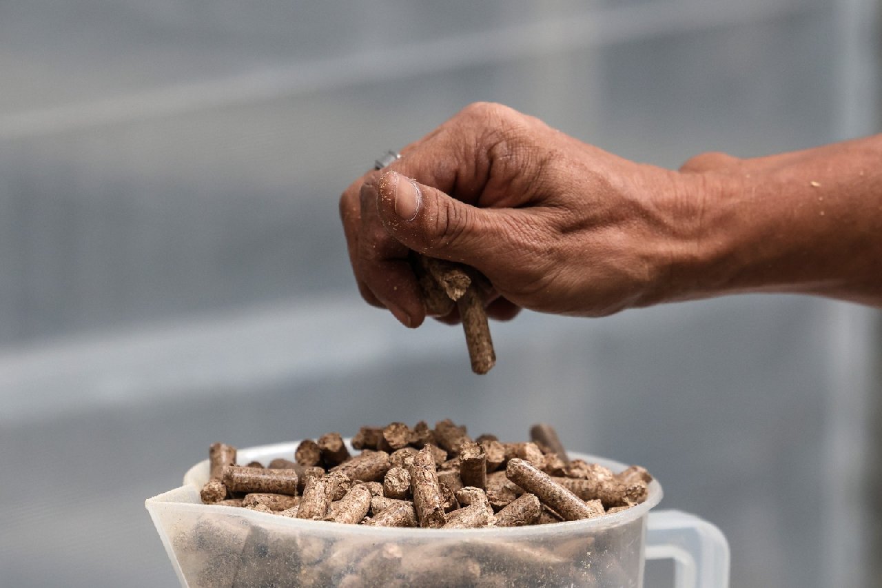 Savaş ve kıtlık zamanı için üretiliyor. Yiyene enerji ve kas gücü sağlıyor