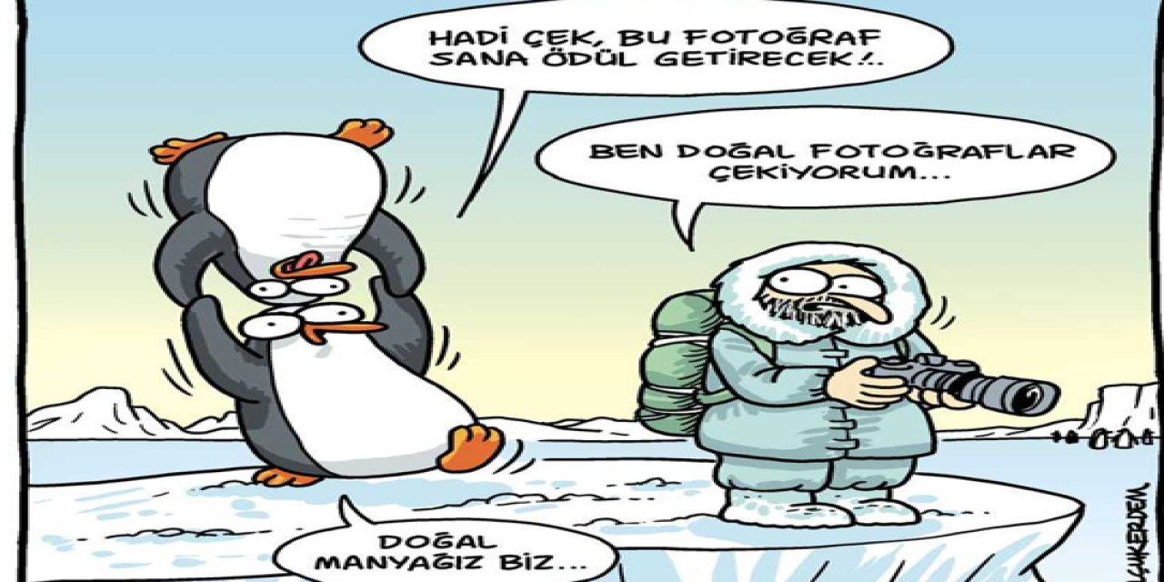 2025 Komedi Vahşi Yaşam Fotoğrafçılığı Ödülleri kazananı açıklandı. Birinci şakacı bir sincap oldu