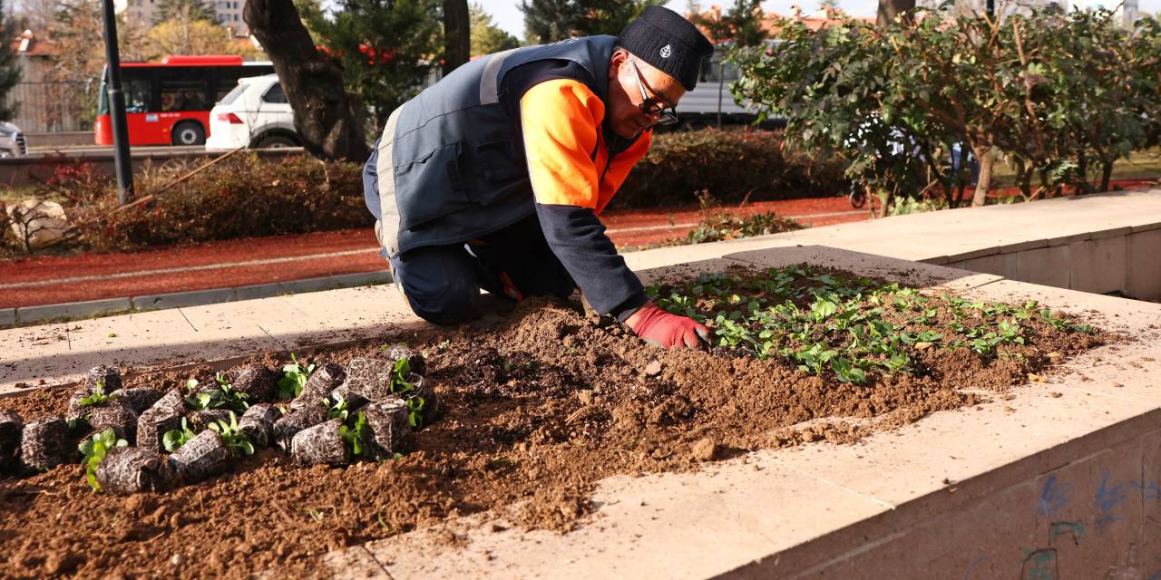 Kışlık üretim başladı: 225 bini hazır