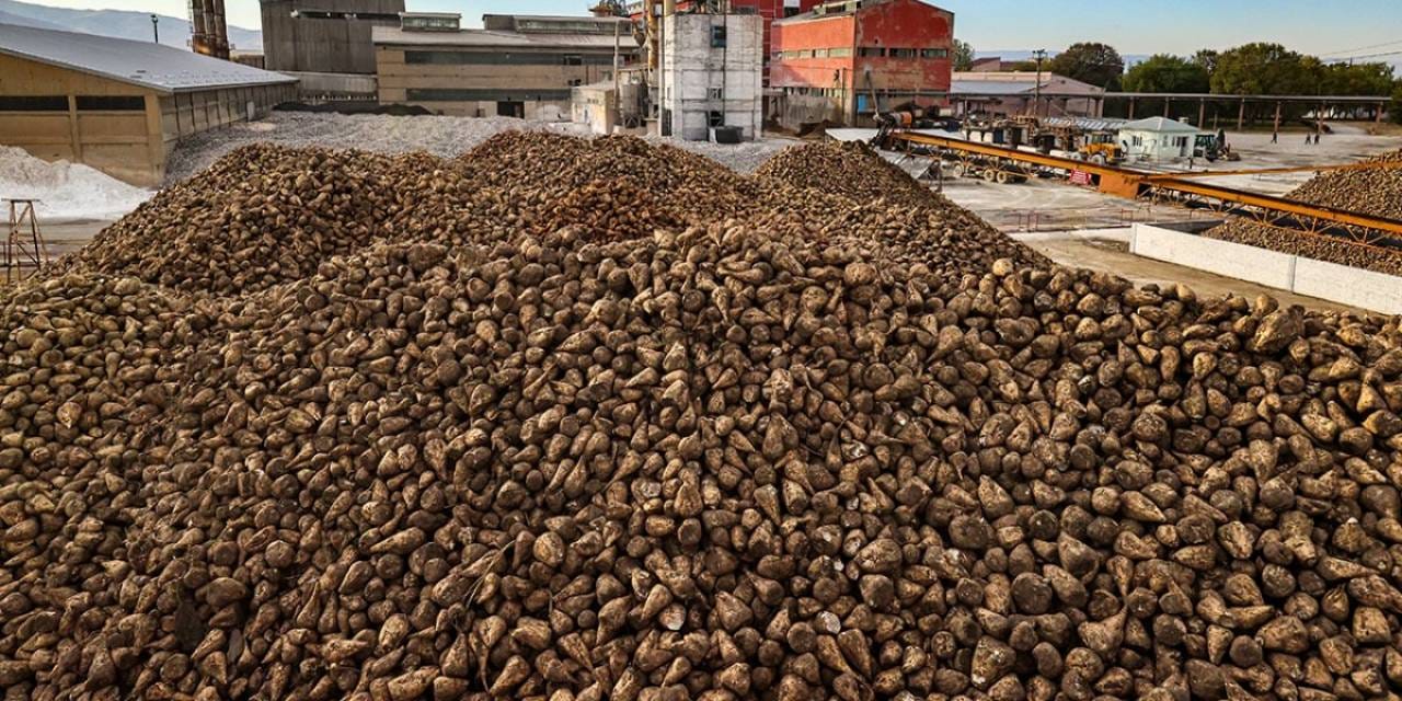 58 köyde birden üretiliyor. Bir kentimiz bu işten 2 buçuk milyar lira kazanacak