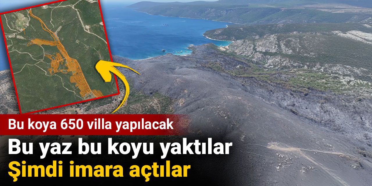 Bu yaz bu koyu yaktılar şimdi imara açtılar. Bu koya 650 villa yapılacak