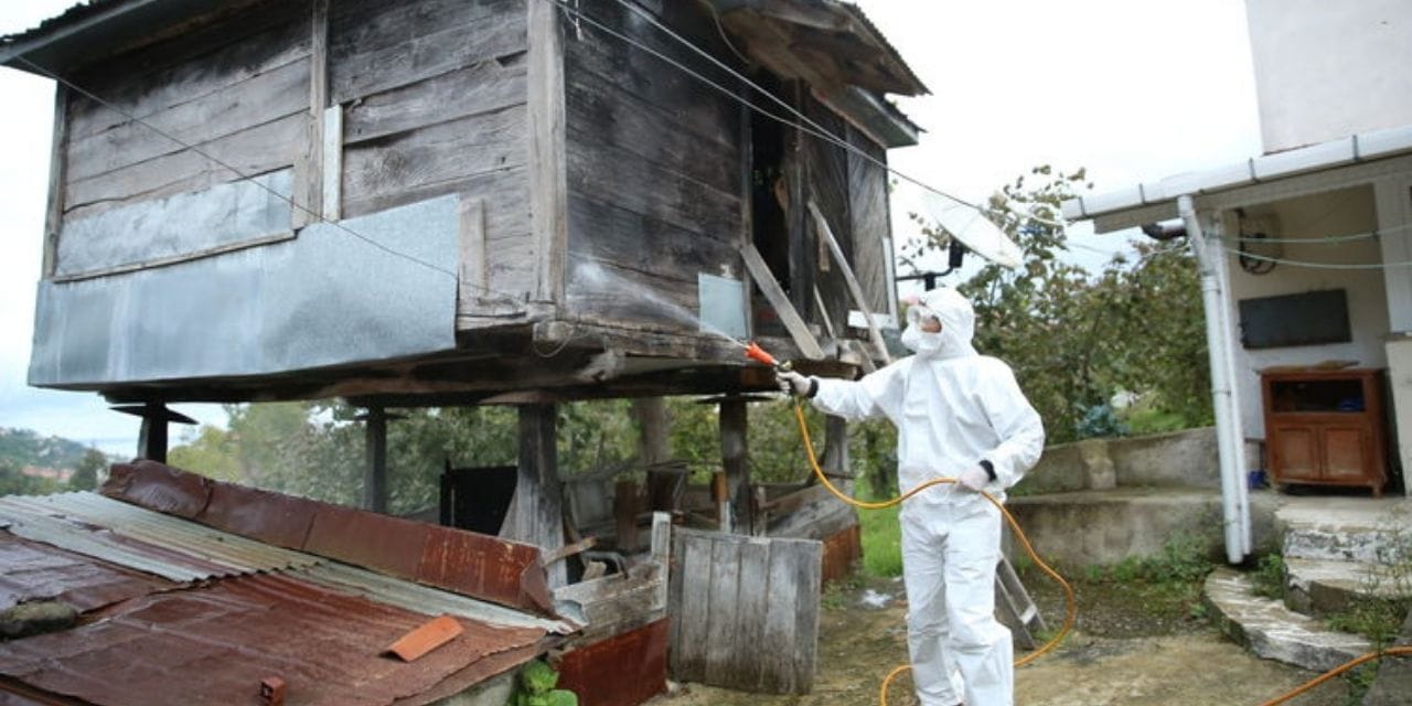 Ordu'da 900 kişi yok etmek için çalışıyor