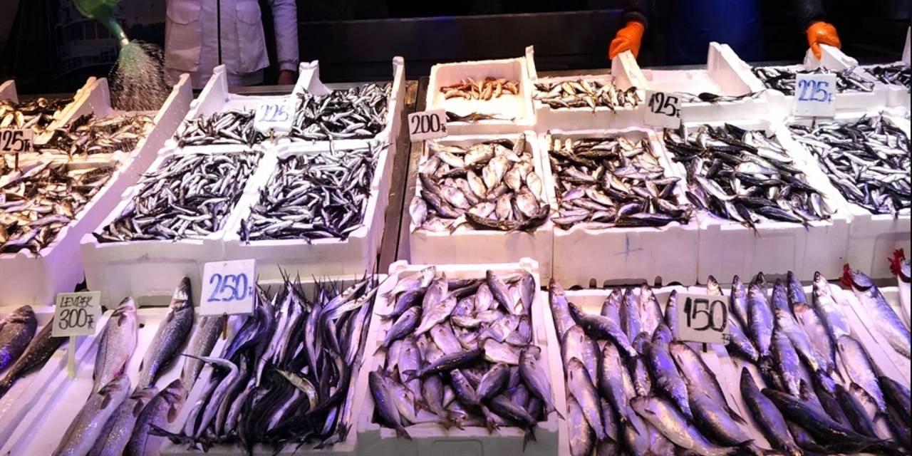 Fiyatına rağmen hamsiye ilgi arttı