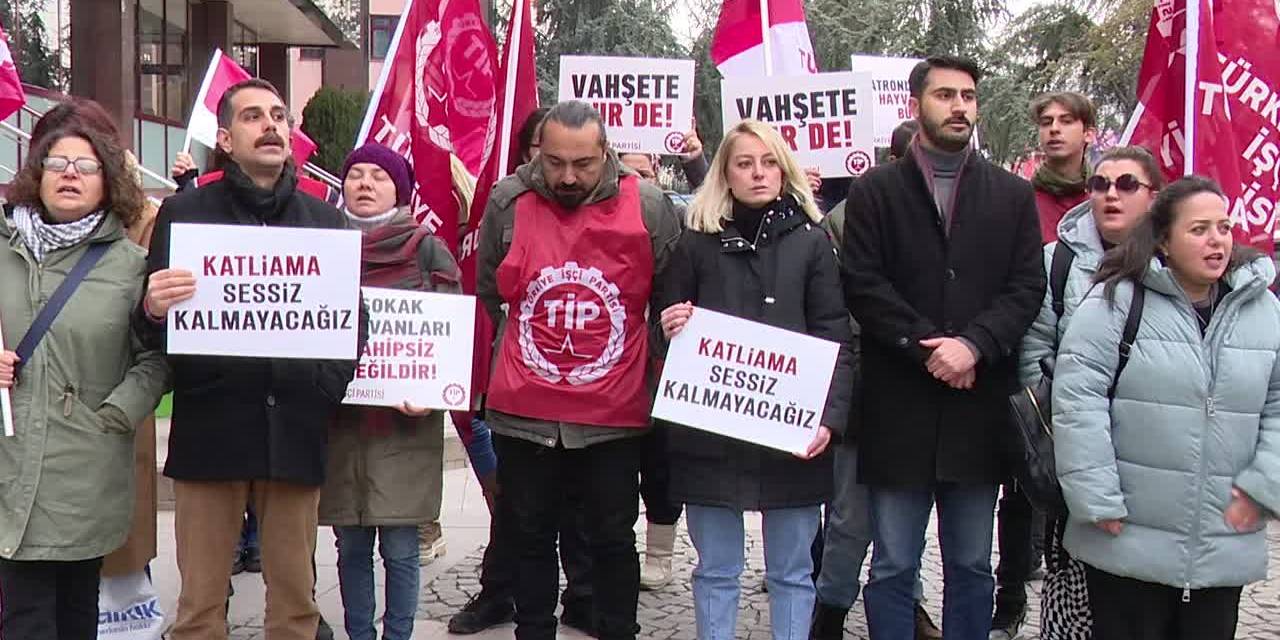 Köpek katliamının olduğu Mamak Belediyesi protesto edildi