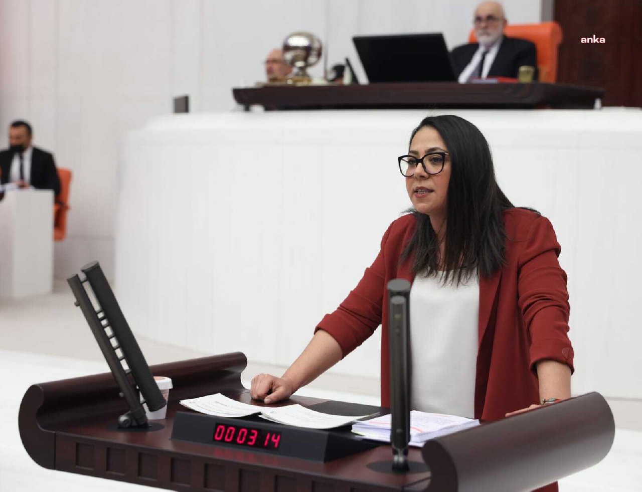 TBMM Genel Kurulu'nda Sera Kadıgil'e uyarma cezası