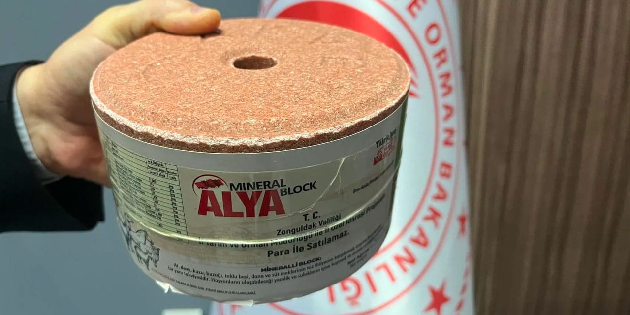 Bakanlık binlerce yalama taşını ücretsiz dağıttı. Stresi azaltıyor