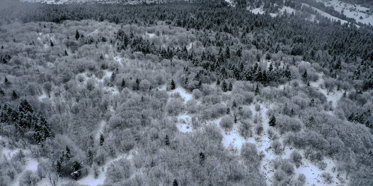 Küre Dağları beyaza büründü