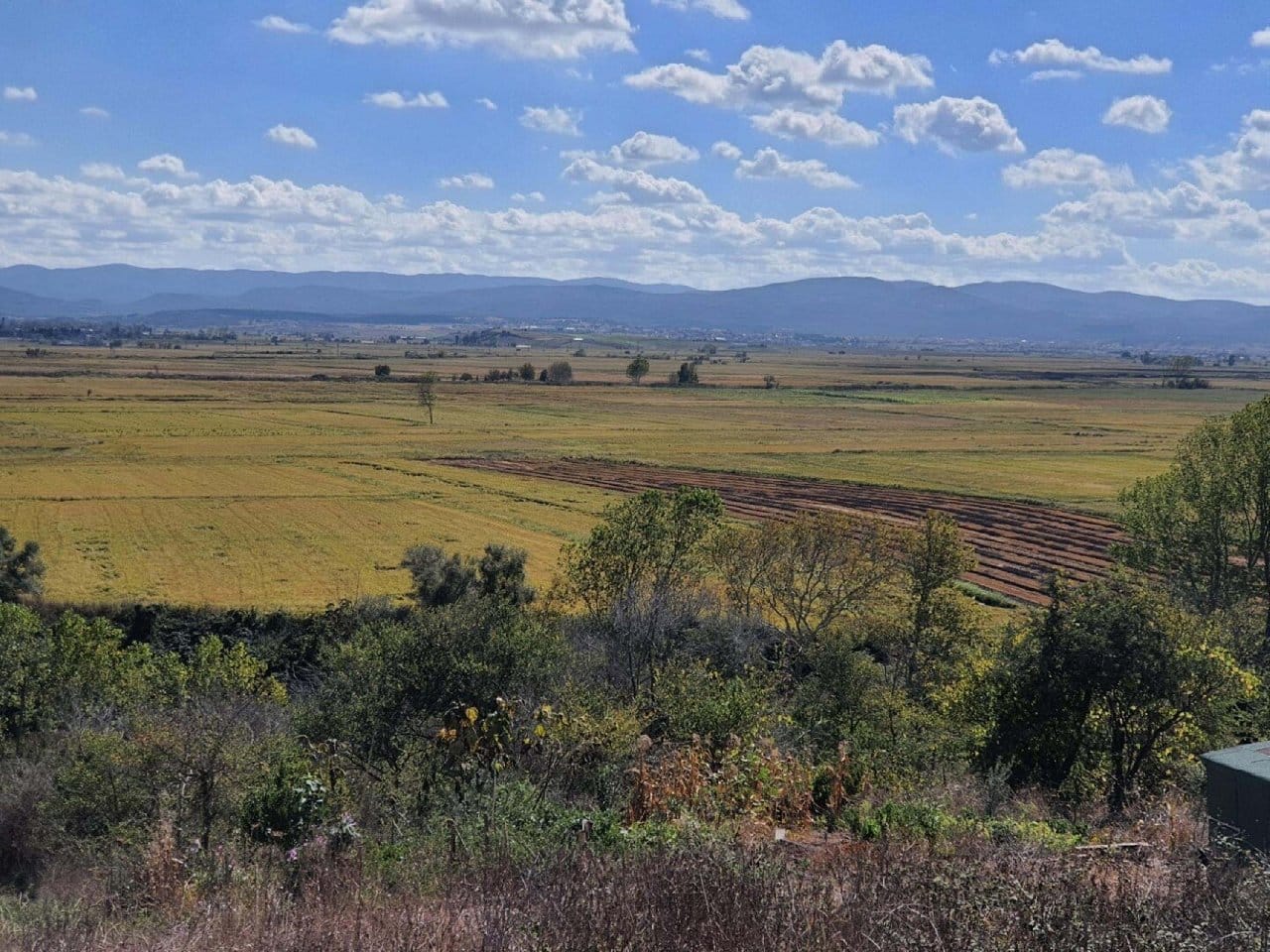 Büyük İskender'in en önemli savaş alanı tespit edildi