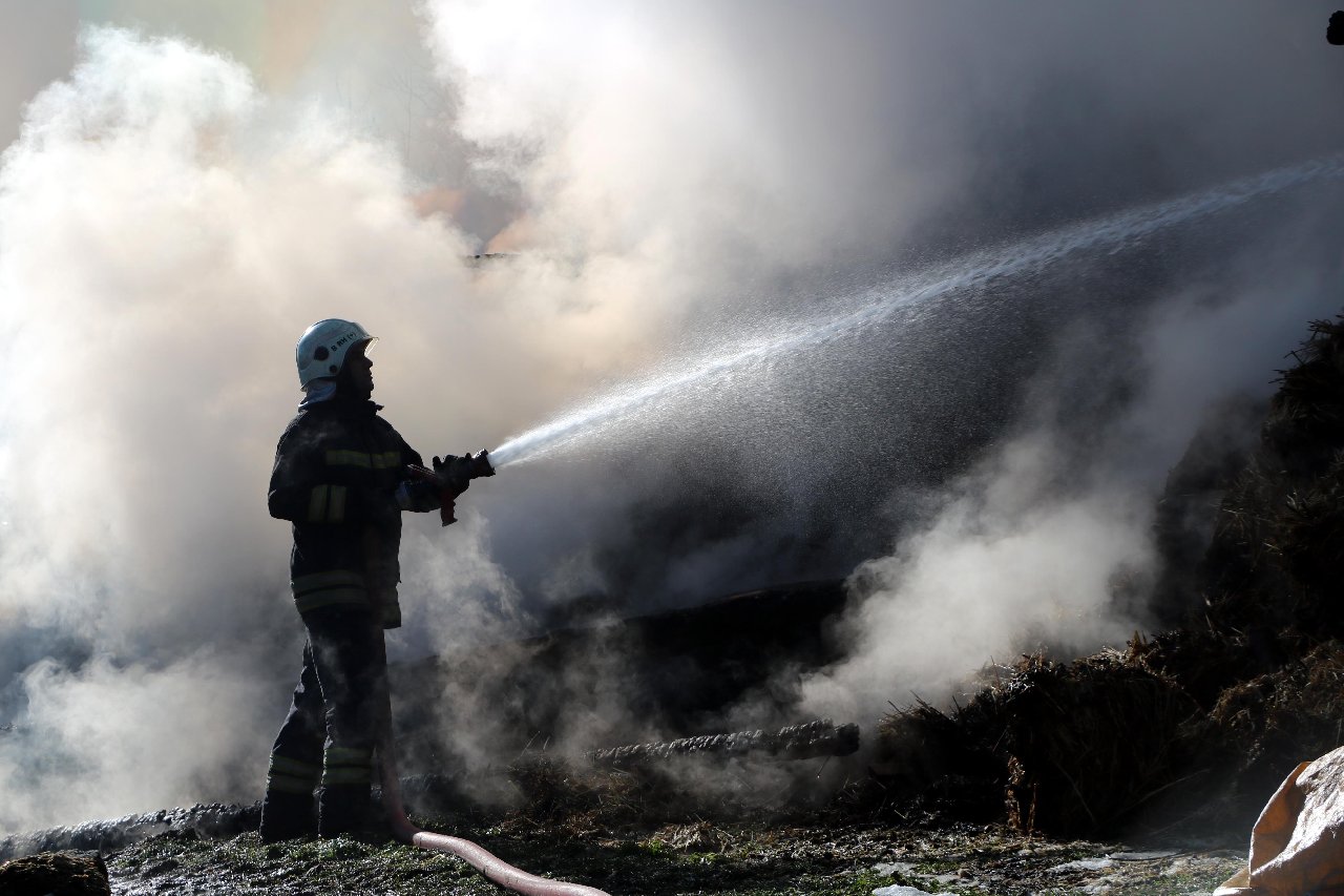 Ahır ve samanlık yangınında 3 büyükbaş kaçamadan telef oldu