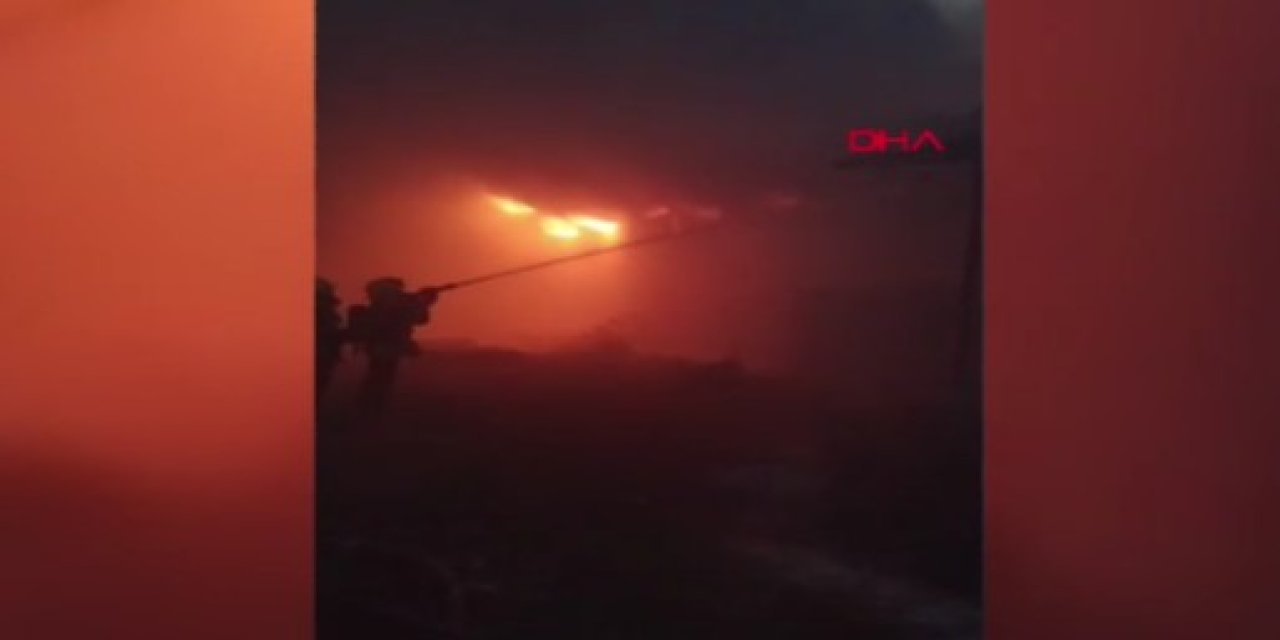 Çiftlik yangınında binlerce civciv telef oldu