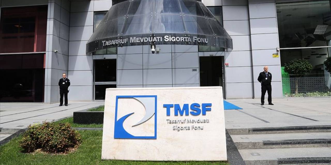 Yenidoğan Çetesi hastanelerine TMSF atandı