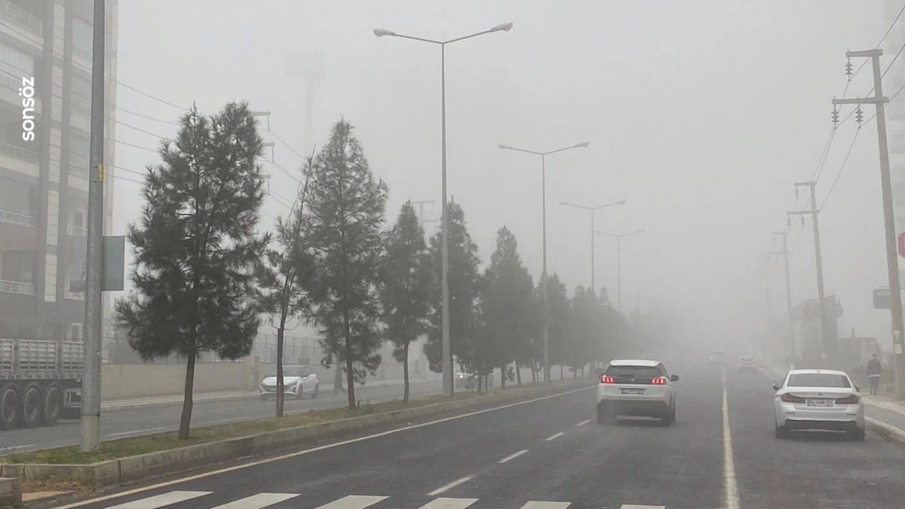 Diyarbakır'da sis etkili oldu