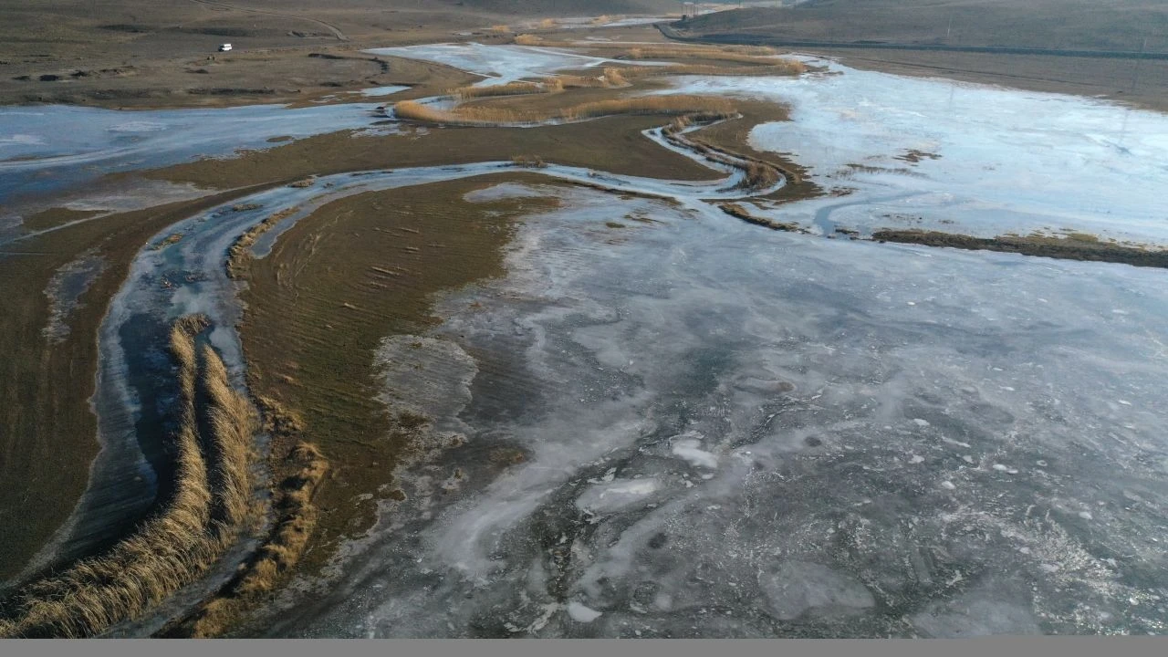 Ağrı'da sulak alanlar buz tuttu