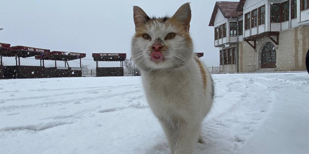 Tarihi Harput Mahallesi beyaza büründü