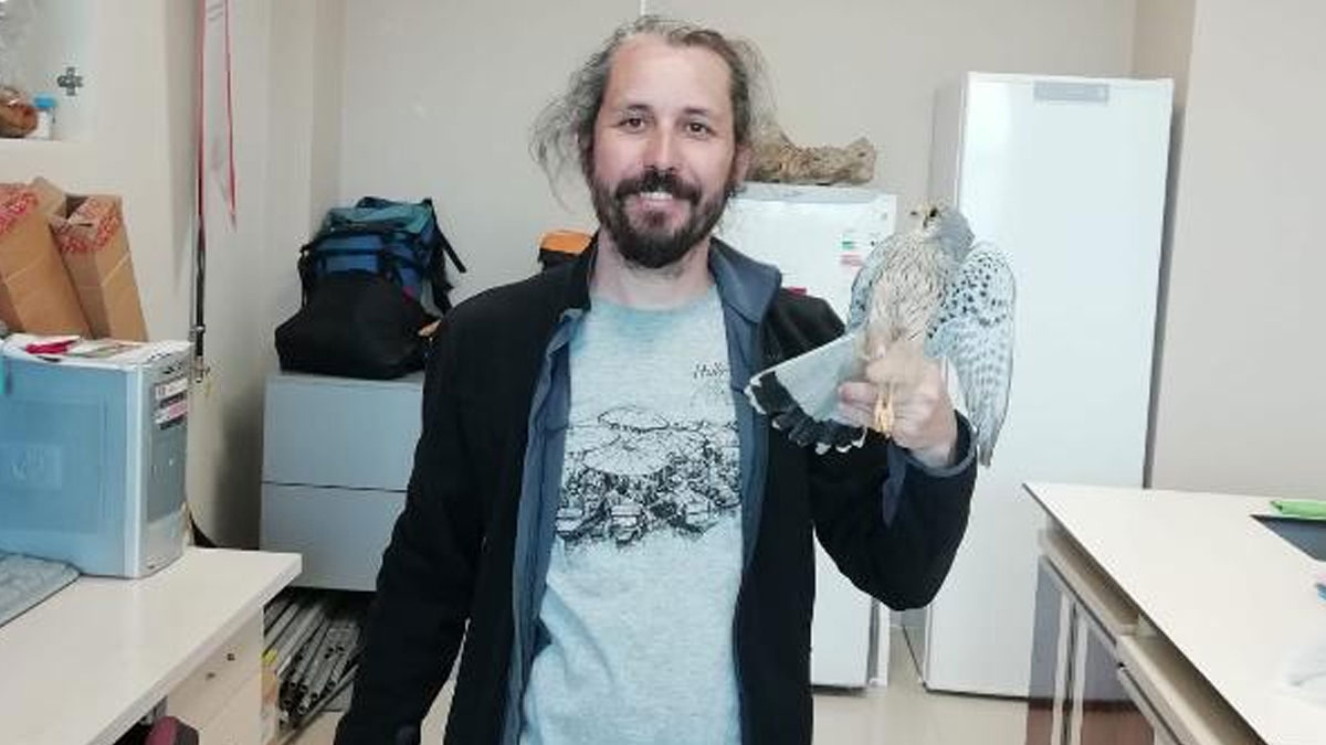 Fakülte binasında mahsur kalan kerkenezi ornitolog profesör kurtardı