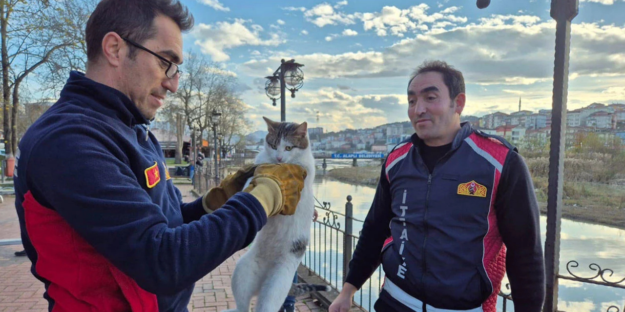 Çaya düşen kediyi itfaiye kurtardı