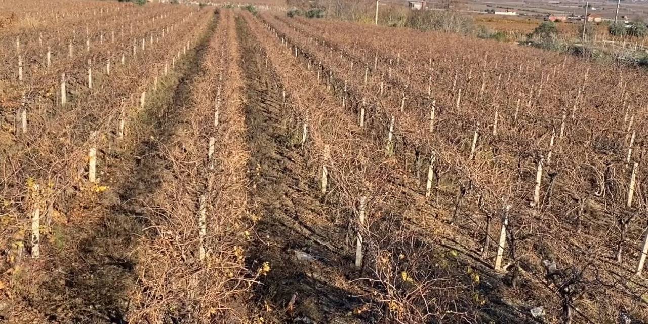 71 yıl süren arazi davası karara bağlandı