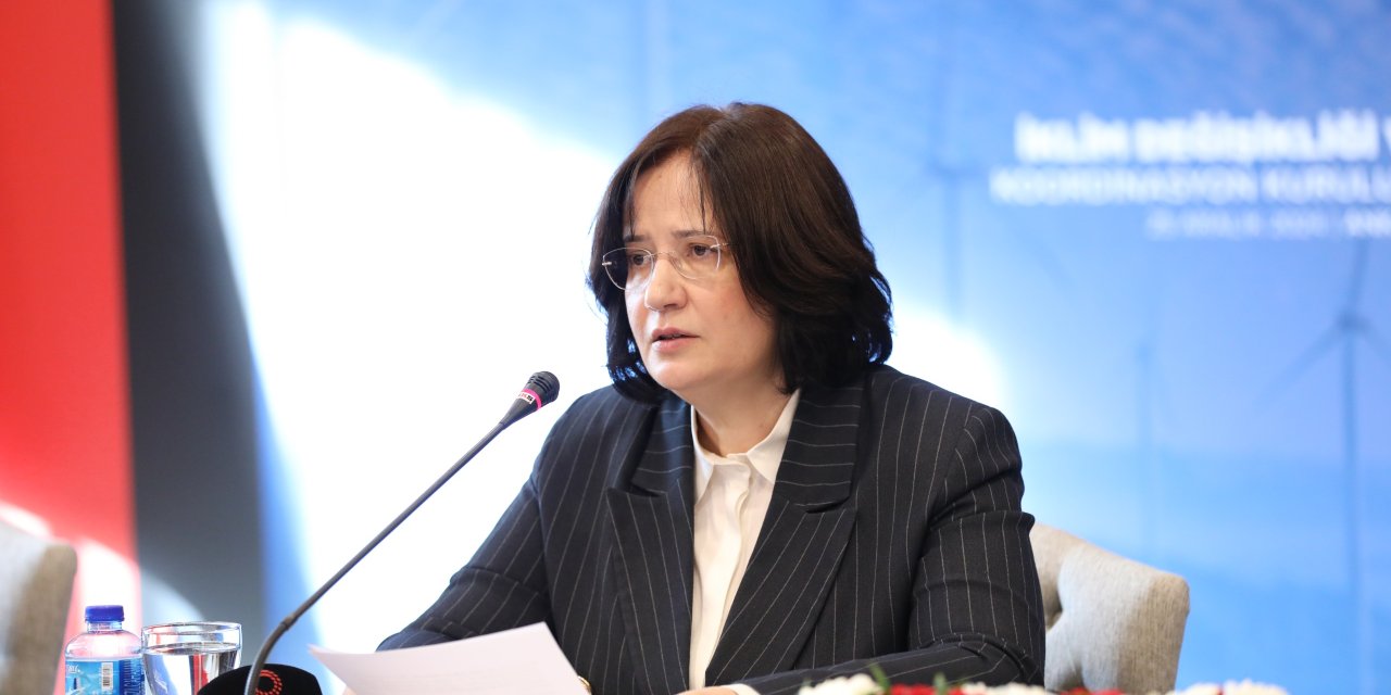 İklim Değişikliği ve Uyum Koordinasyon Kurulu toplandı