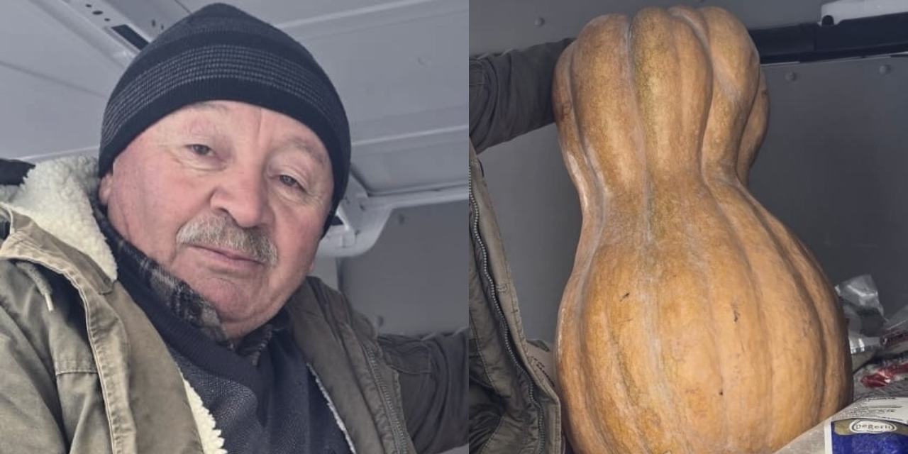 Sinop'ta 55 kilogramlık bal kabağı pazarda satışa çıkarıldı