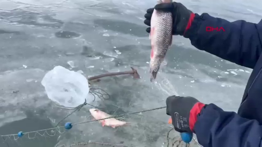 Eskimo usulü göle atılan ağlar bereketle çekildi