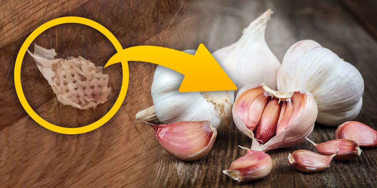 Sarımsak soyma derdi bitiyor. Bu yöntemle kabuğu kılçık gibi çıkacak