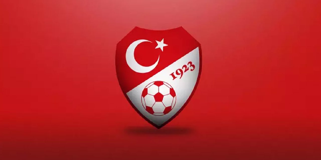 Milli takımın yarısı Ege'den