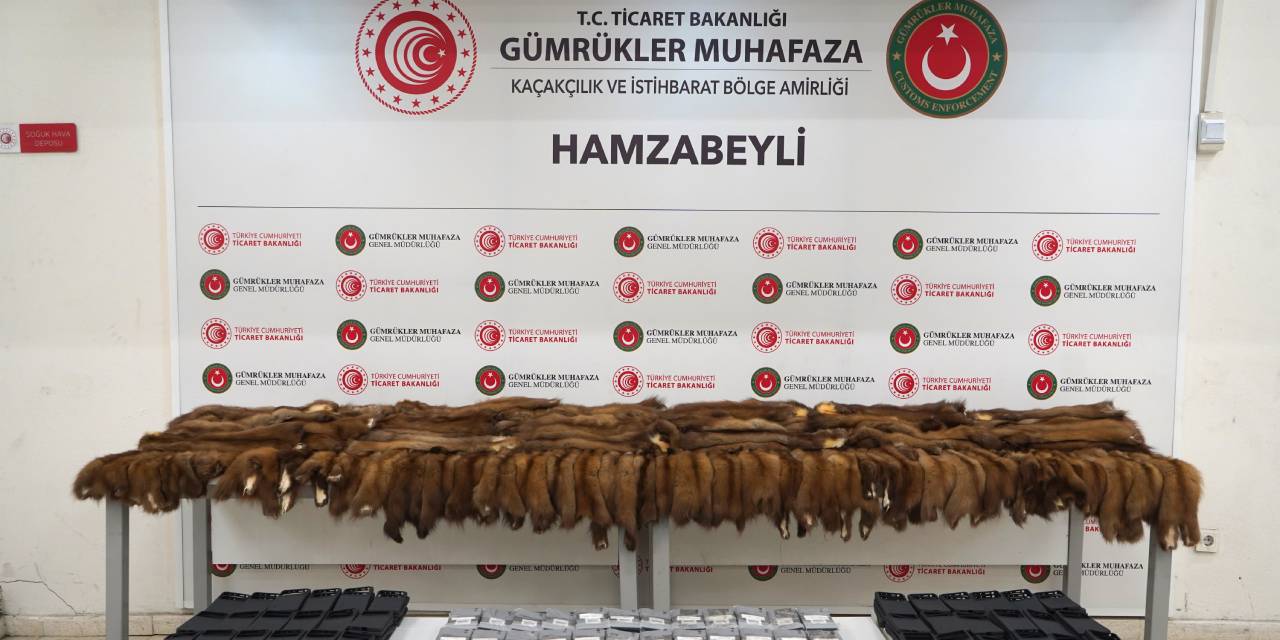 Sınır kapısında operasyon. 155 samur postu 239 cep telefonu ele geçirildi