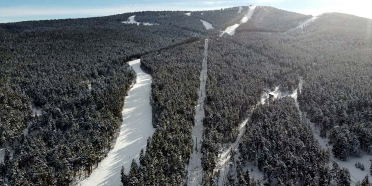 Sarıkamış'ın ünlü sarıçam ormanlarını talan ettiler. 7'si memur 20 kişi gözaltında