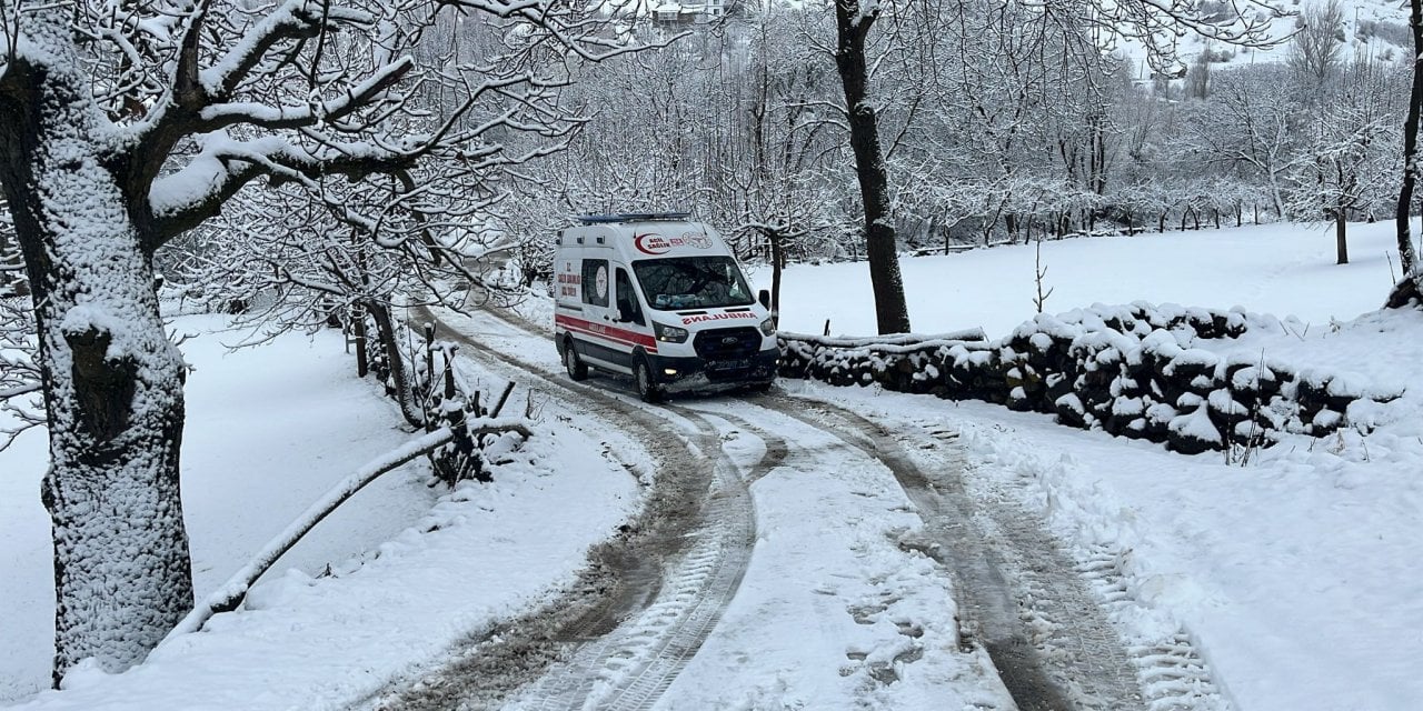 Kardan köyde mahsur kalan hasta böyle yetiştirildi