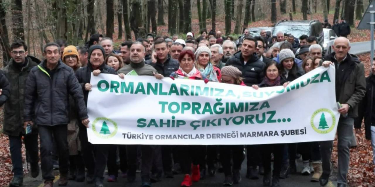 Belgrad Ormanı için eylem