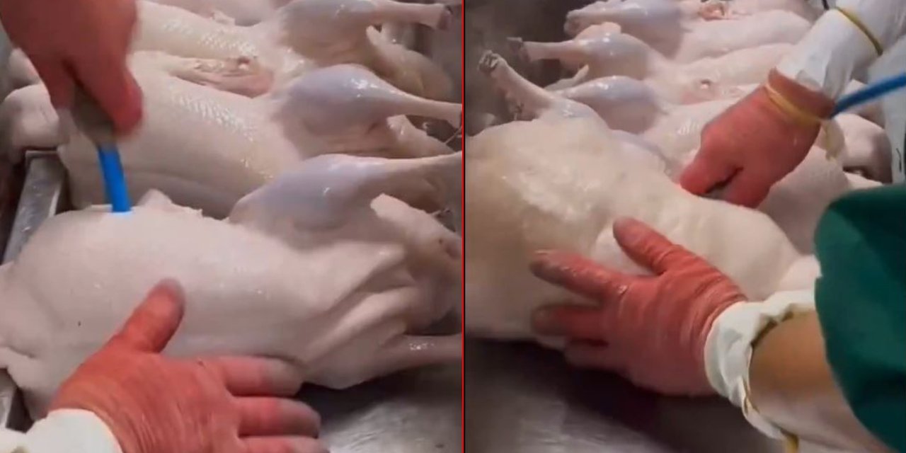 Pekin ördeğinin yapılışı ortaya çıktı. Sosyal medya ikiye bölündü