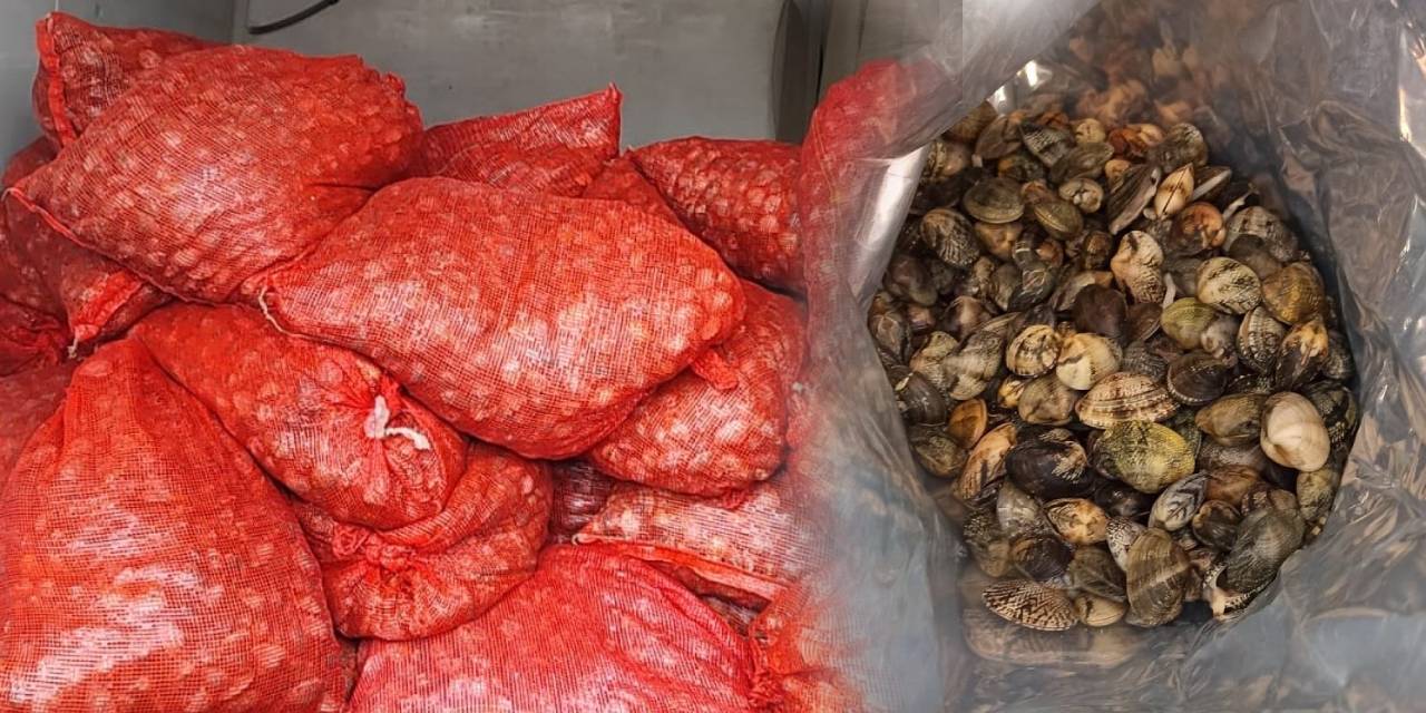 Kum midyesi operasyonu: 11 milyon ceza kesildi