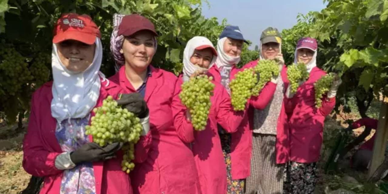 Yollanan ürünlerde üzüm başı çekti. Mısır, İran ve Katar sıraya girdi