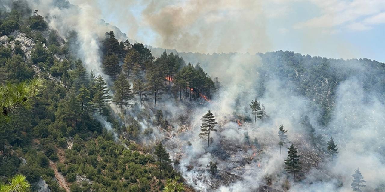 Terör örgütü PKK talimatıyla orman yakan sanığın cezası belli oldu