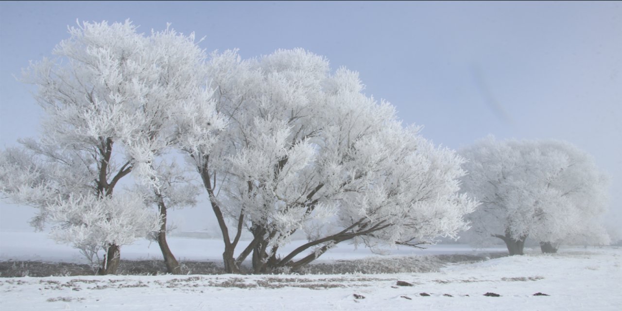 Ağrı'da masal gibi bir kış