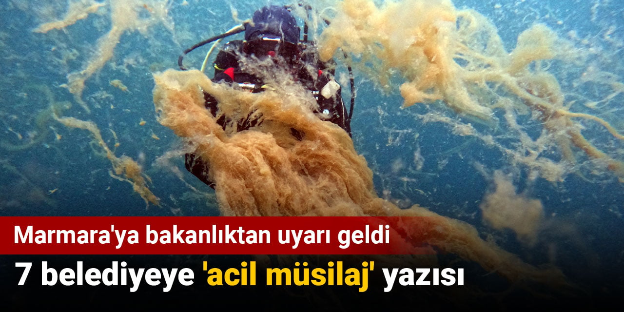 Marmara'ya müsilaj uyarısı bakanlıktan geldi. 7 belediyeye 'acil' yazısı gitti