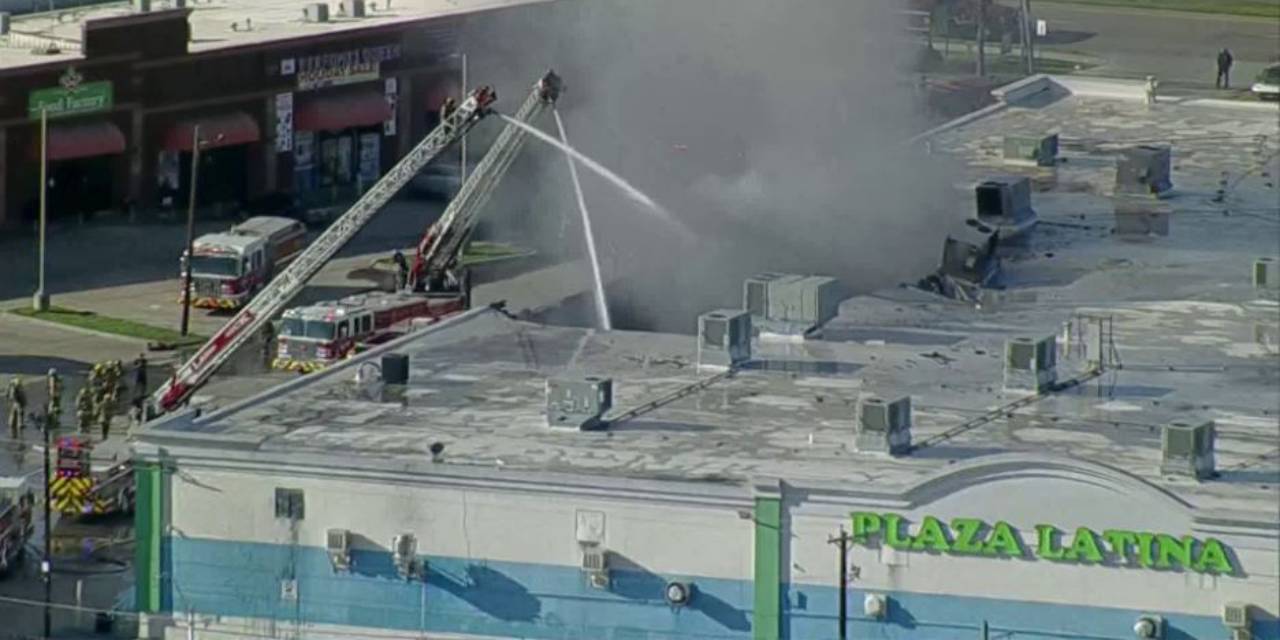 Dallas'ta evcil hayvan dükkanında çıkan yangında 500'den fazla hayvan öldü