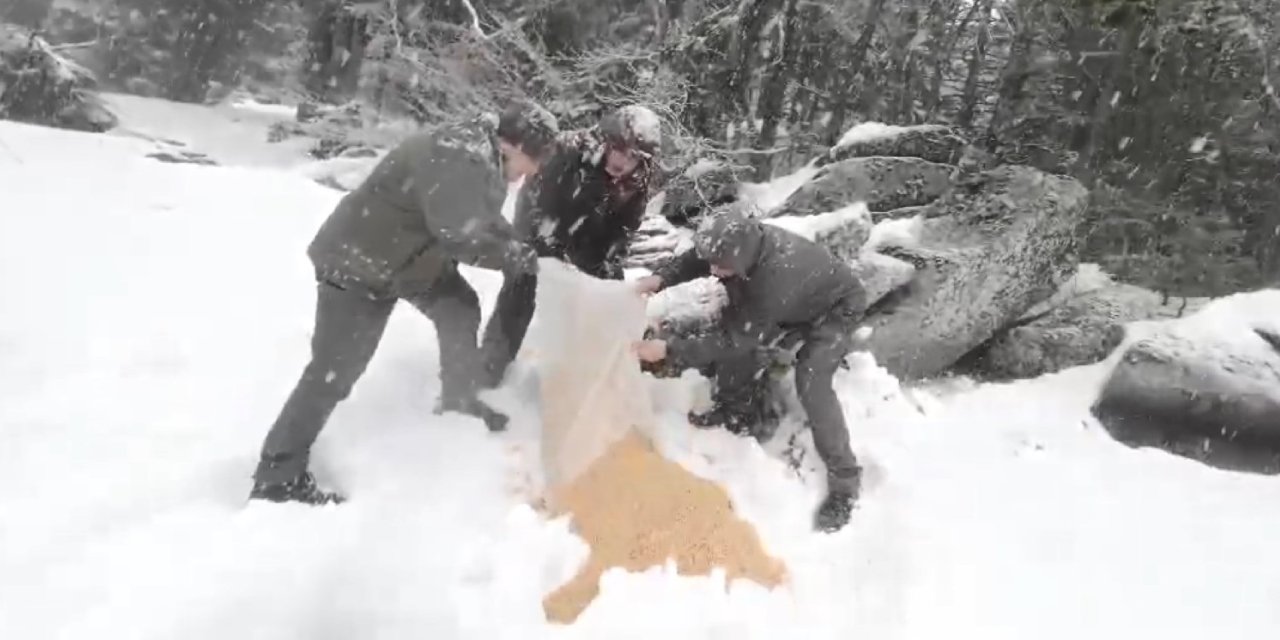 Karla kaplanan Uludağ'a yem bırakıldı