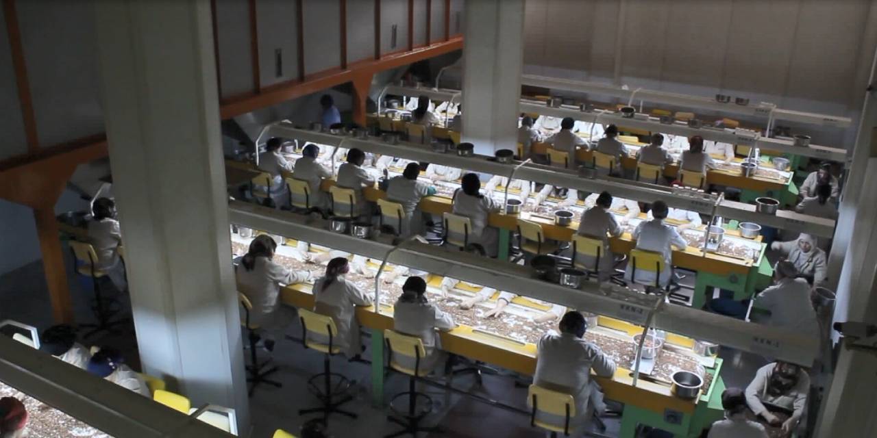 Trabzon diğer illeri solladı. Kazandığı para iki katına çıktı