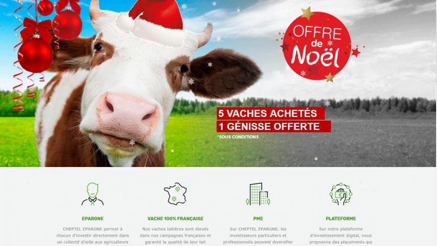 "Çiftlik Bank" vakası Fransa'da hortladı! 50 kişiye hayali inek satıldı