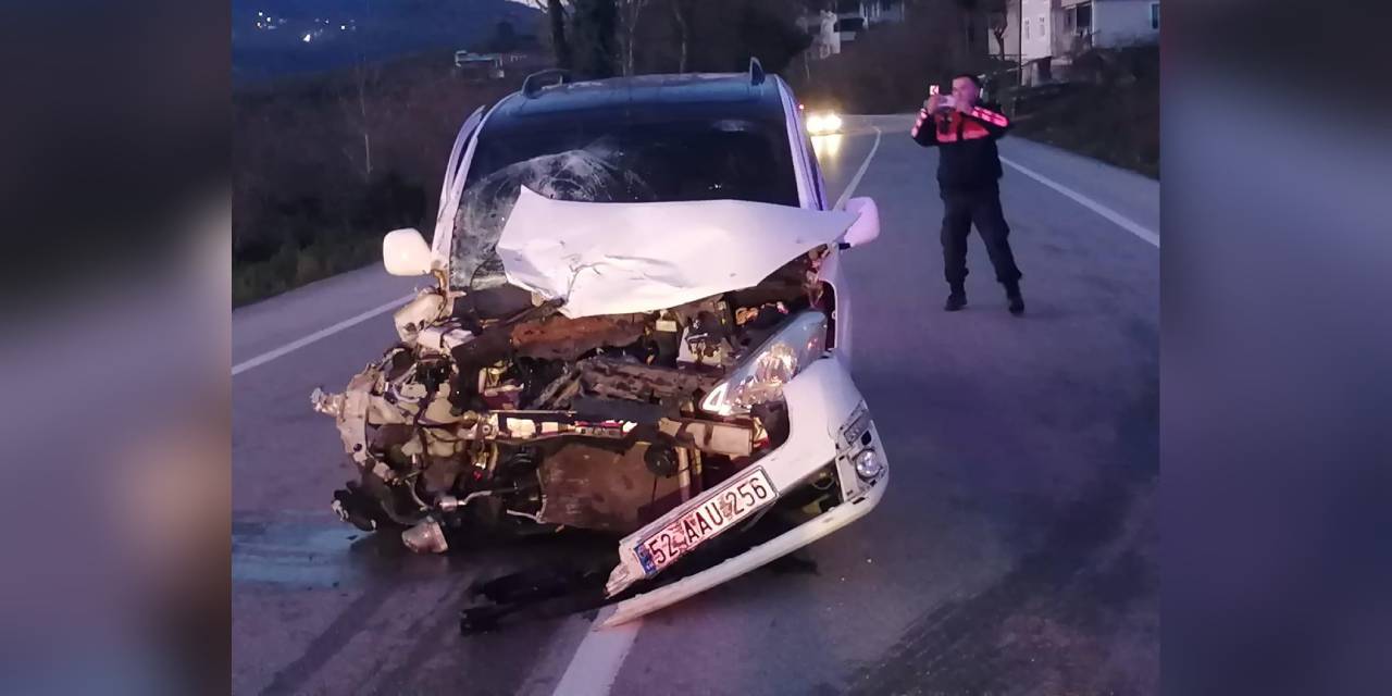 Yola çıkan yayaya çarpmamak için kaza yaptı. 2 kişi ölü 5 yaralı var