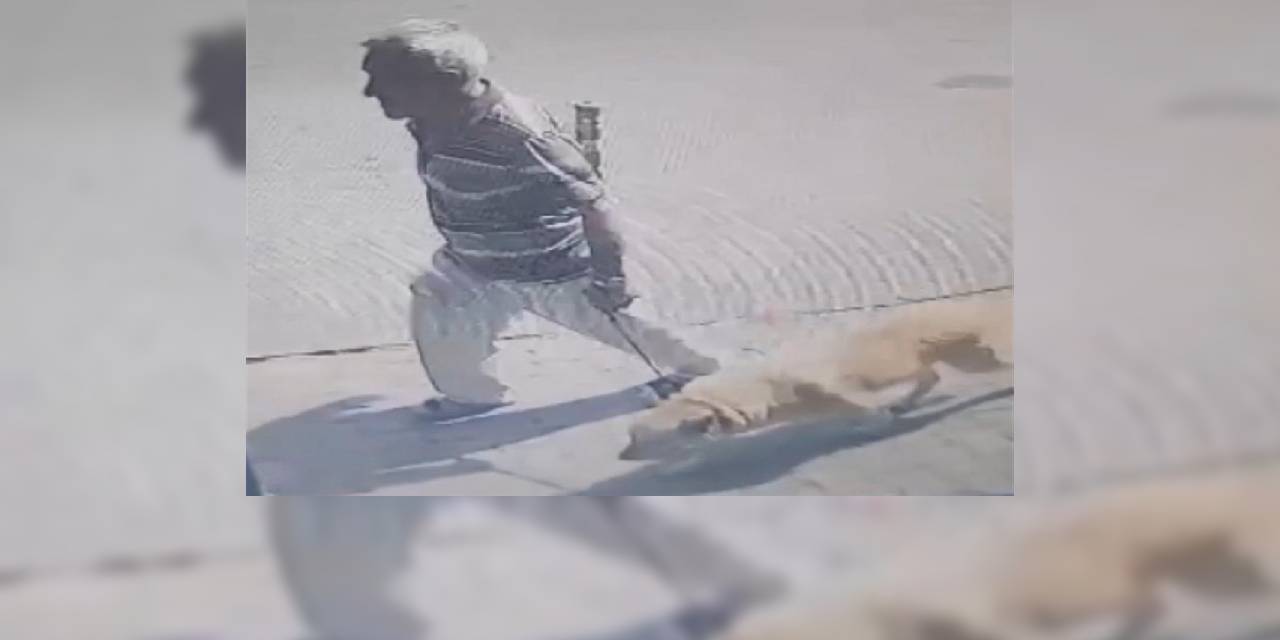 Köpeği istismar eden sapığın cezası belli oldu