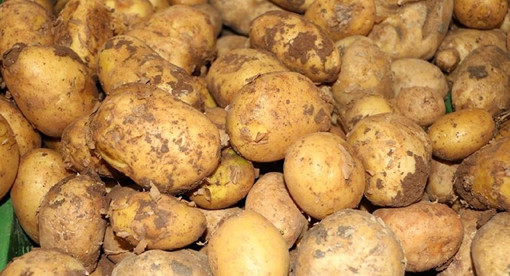 Patateslerdeki kimyasallar …Patateslerde bunu görürseniz satın almayın…