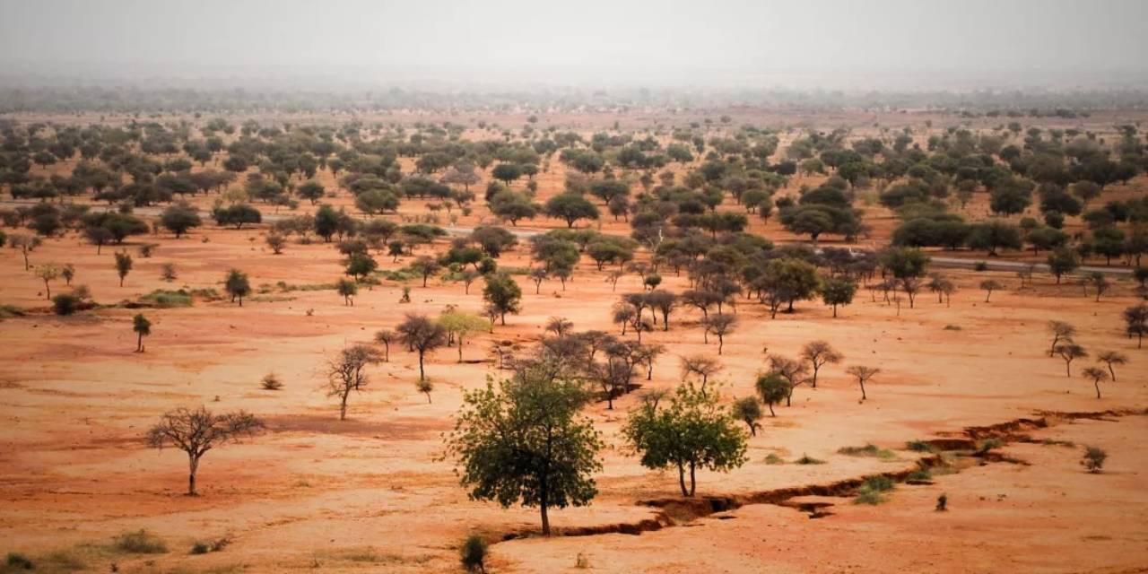 İngiliz aile Türkiye'ye bıraktı. Özel odada kalıyor