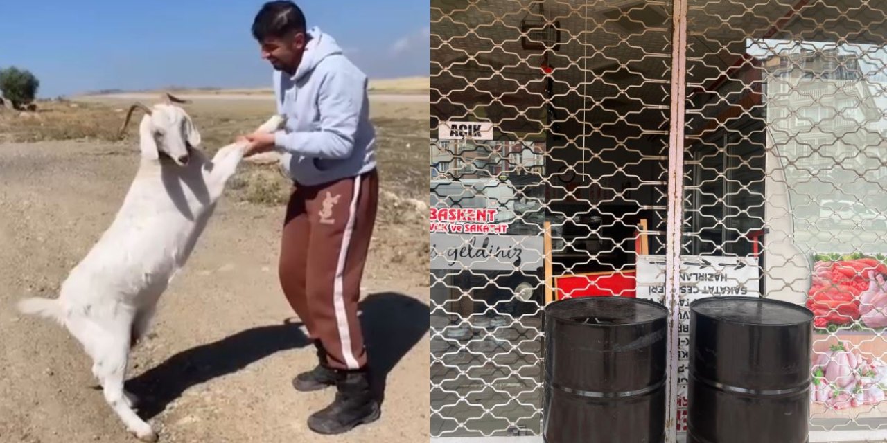 Barınaktan çalınan hamile keçiler kasapta kesildi. Kasap çalışanları serbest