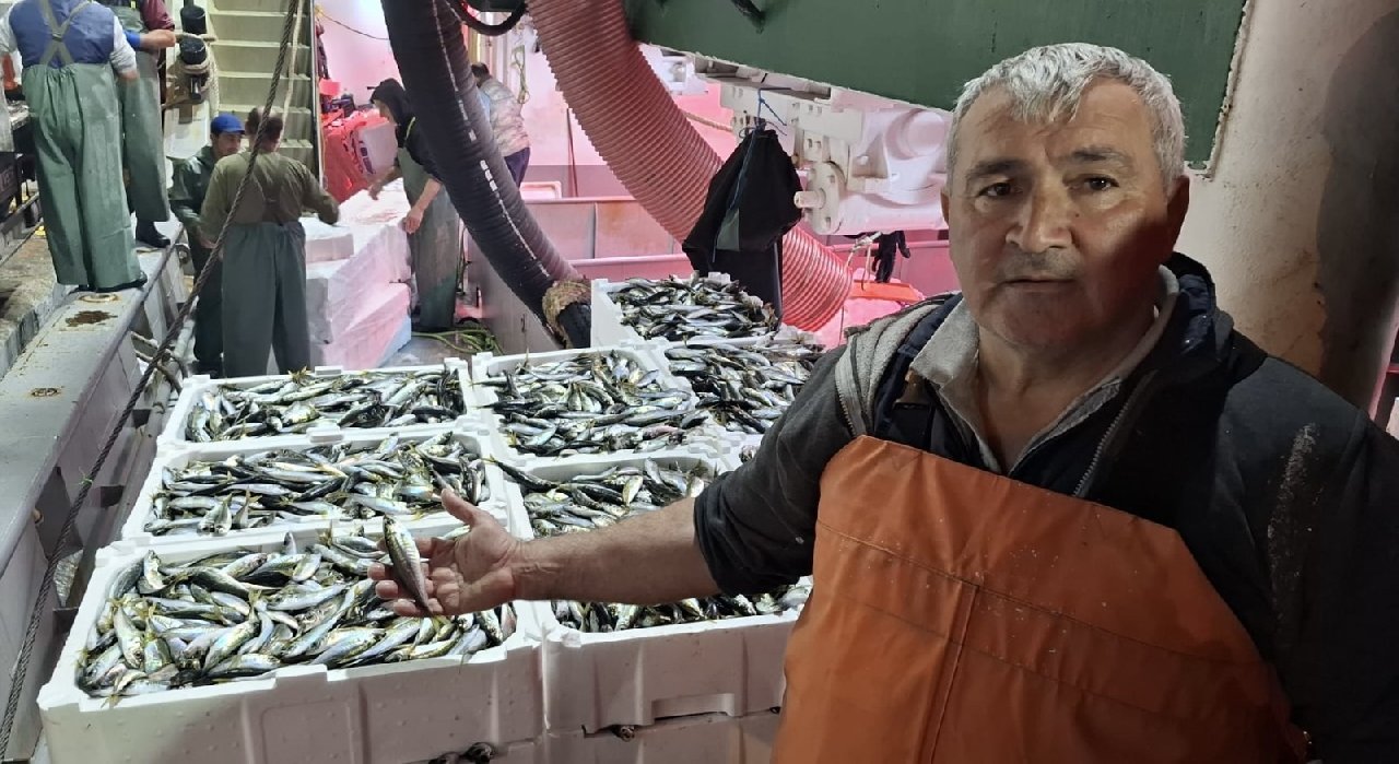 Vatandaş bol bol yesin diye kilosu 70 liradan satılıyor