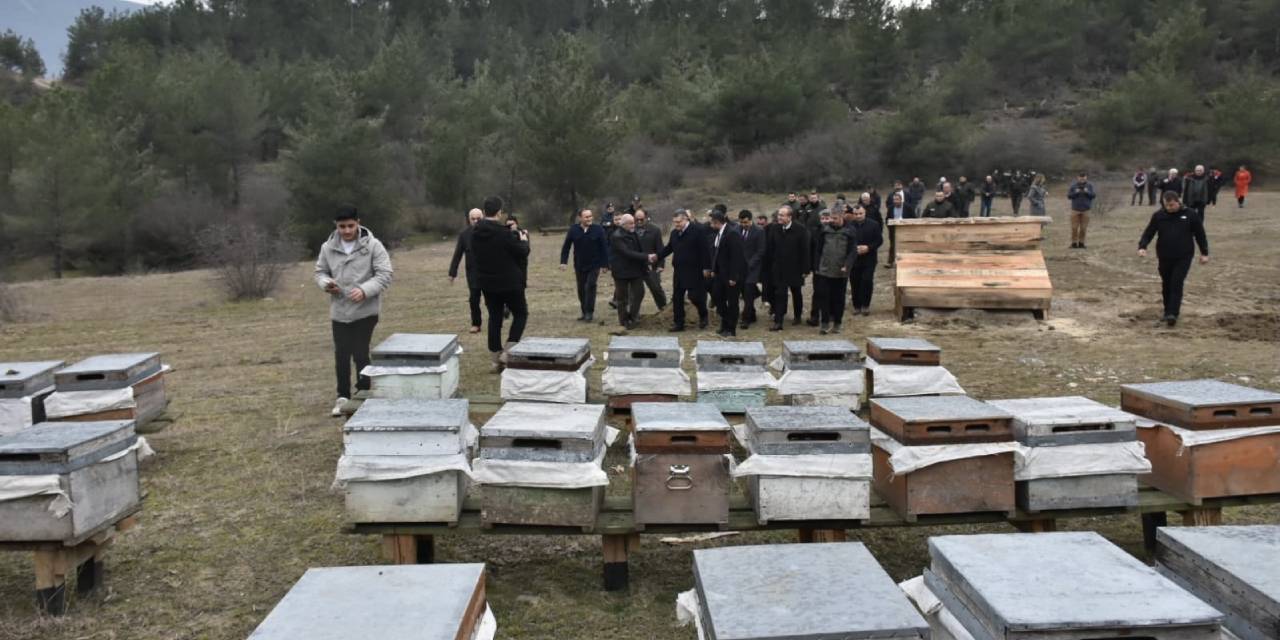 'Bal Ormanı' Sinop'ta kuruldu
