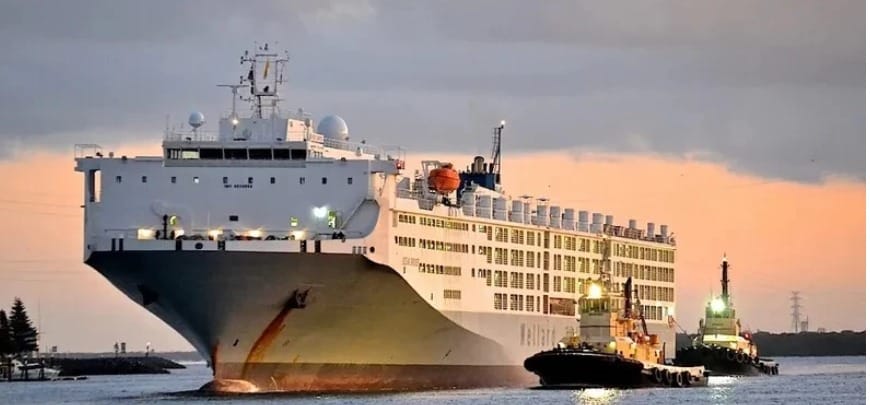 Türkler dünyanın en büyük gemisi için el sıkıştı. Fiyatı 51 milyon dolar
