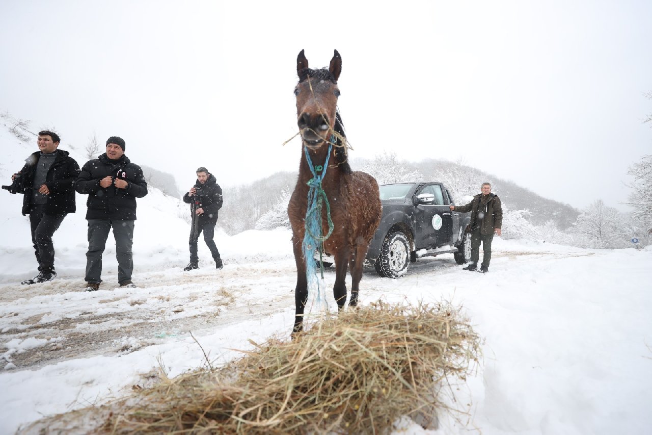Ekipler karlı yolları aşıp yaban hayvanları için doğaya yem bıraktı